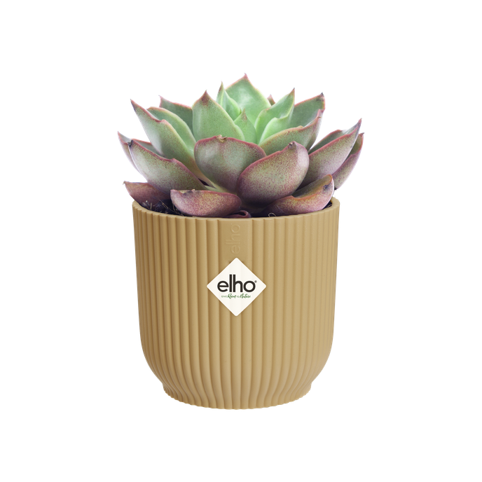 vibes fold round mini 11cm butter yellow